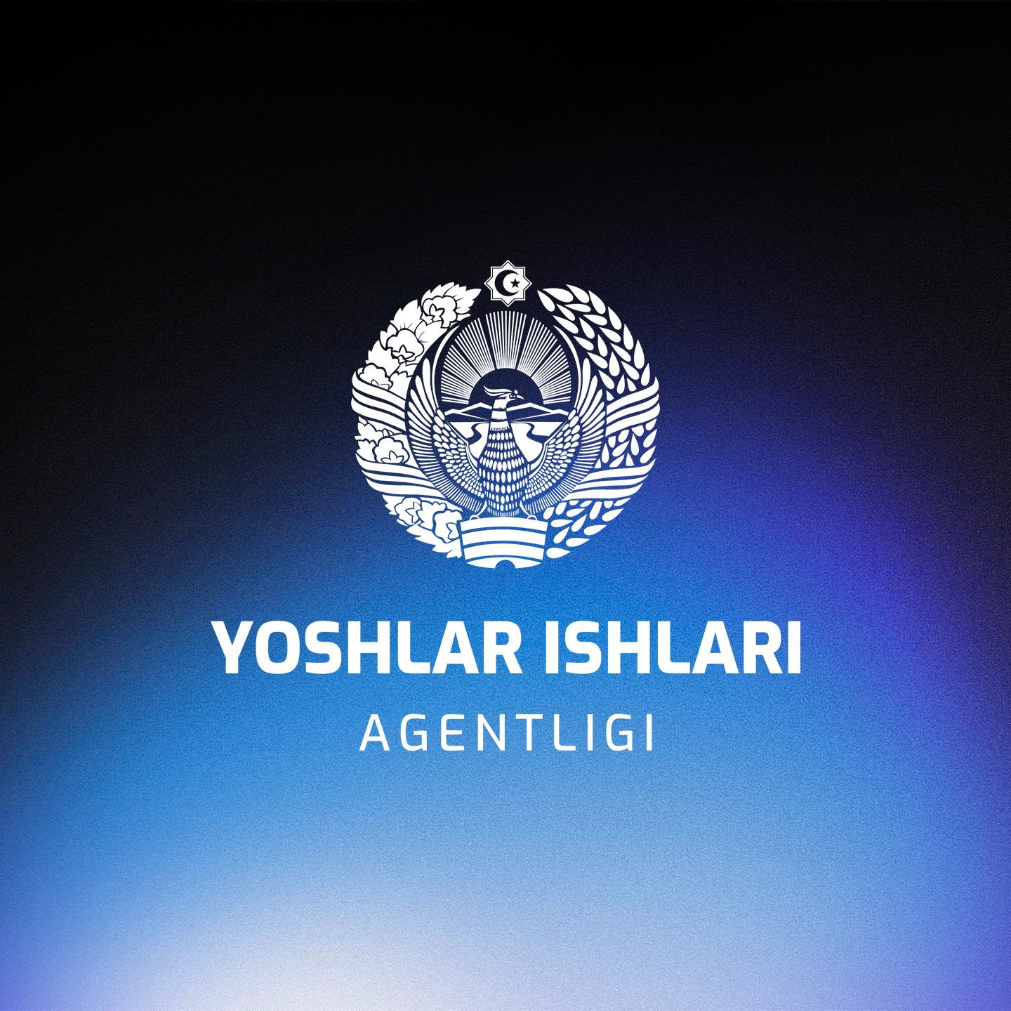 Yoshlar ishlari agentligi